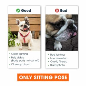 Pet Photo Personalized Doormat New House Home Decor Fall Season Halloween Gift For Dog Cat Lovers Dog Cat Owners 6 4ed98786 75bf 4c99 83e0 8f9cb834f73b